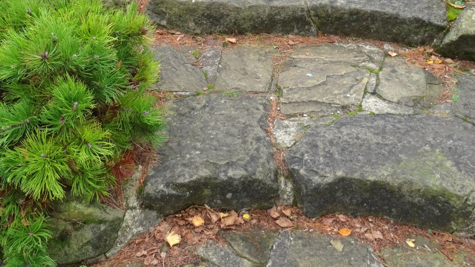 Landscaping Stone Company in Liberty